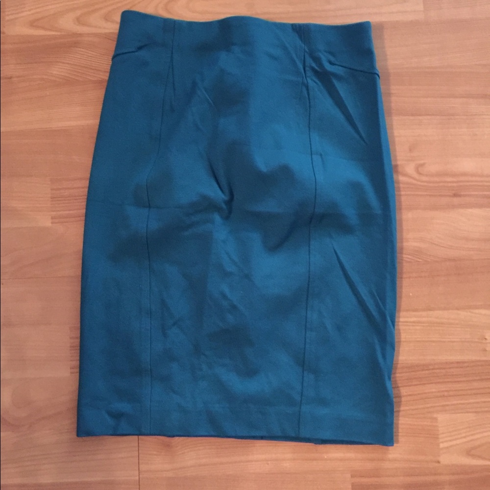 Ann Taylor skirt
